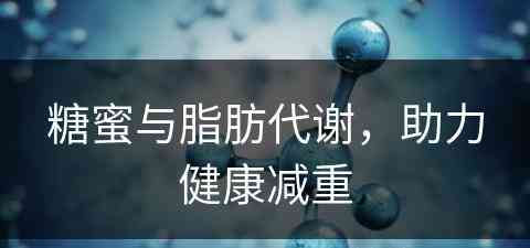 糖蜜与脂肪代谢，助力健康减重